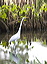 greategret